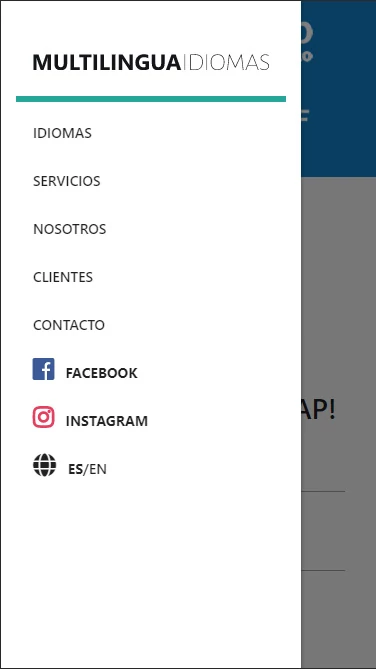 Captura de vista móvil de website responsive empresa vgs-ic